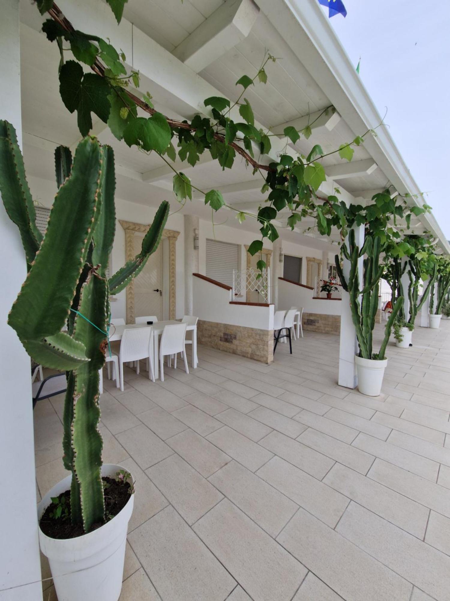 Santa Venere Apartments "Parcheggio Privato" Ricarica Auto Elettriche Tropea Exterior photo